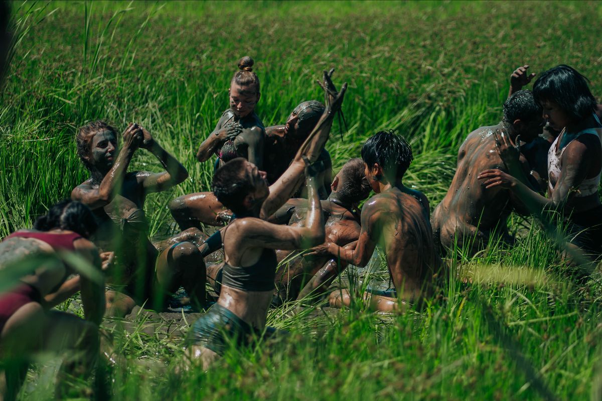Festival Deltebre Dansa compleix 18 anys com a epicentre internacional de la dansa i el circ al cor del Delta de l'Ebre