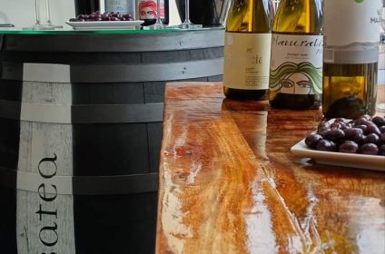 Visita històrica a Batea i tast de vins