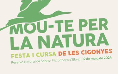 Festa de les cigonyes