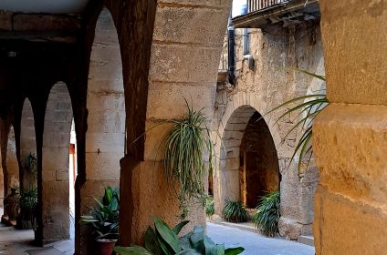 Visita històrica a Batea i tast de vins