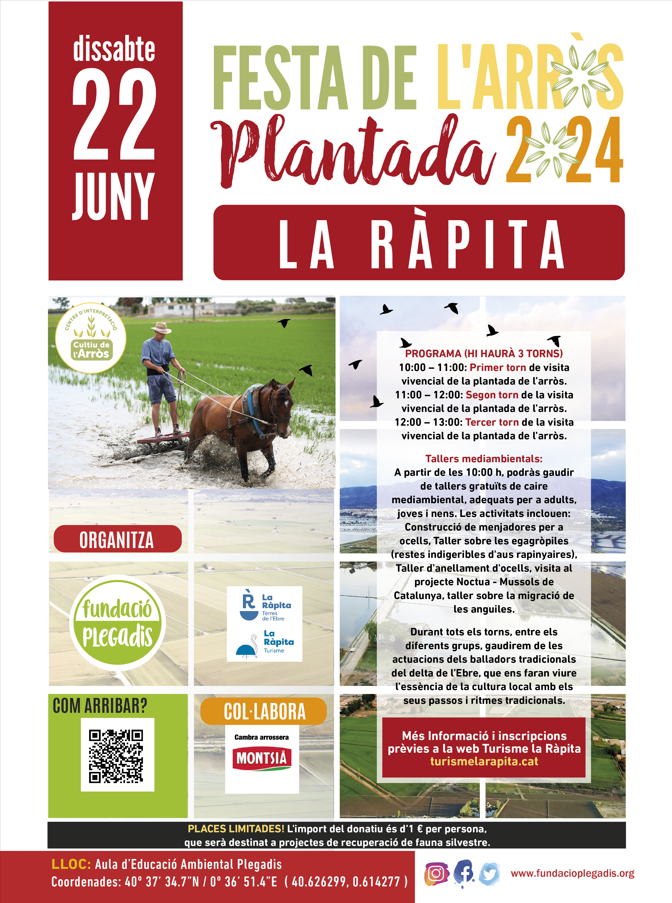 Festa de la plantada La Ràpita