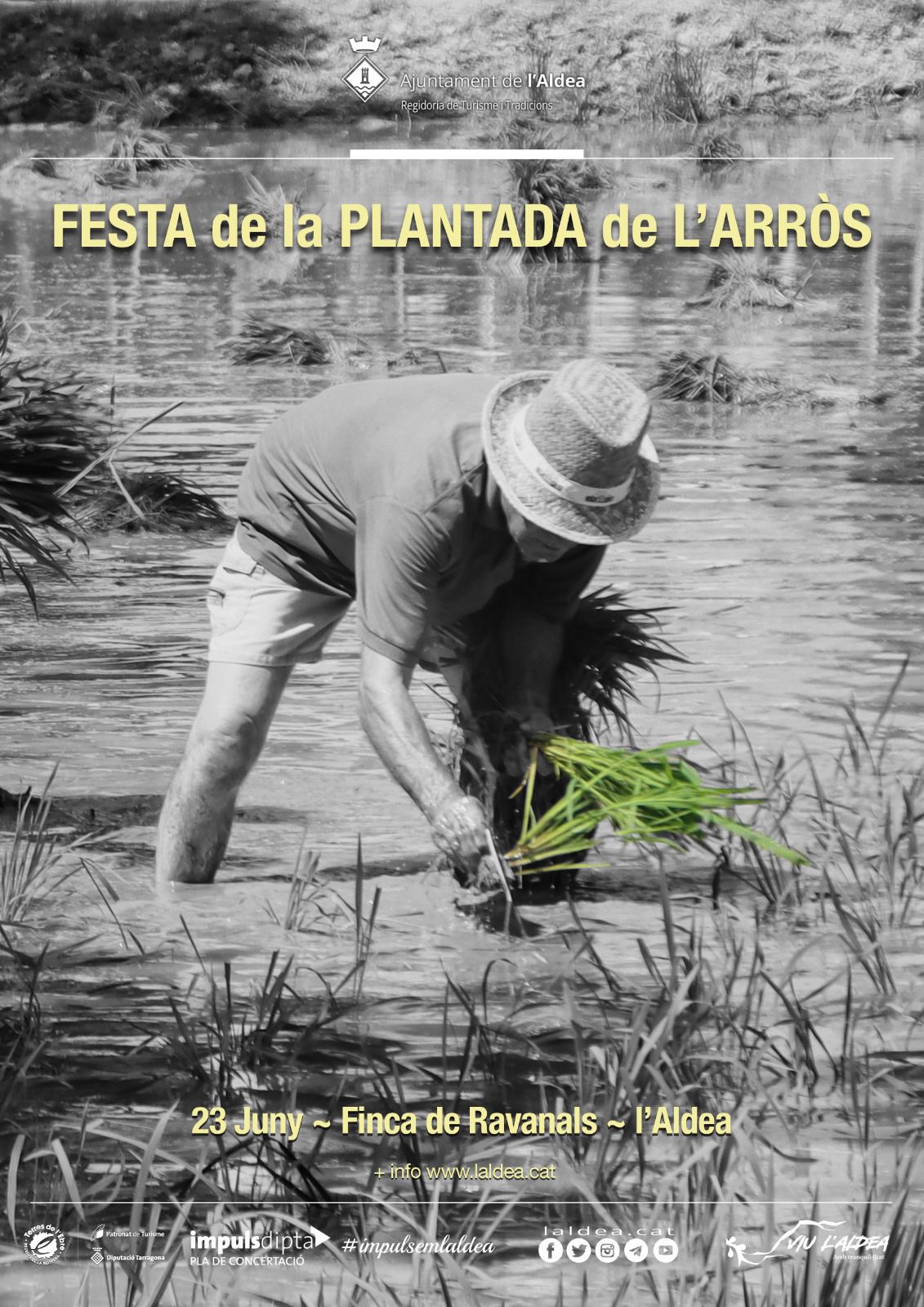 festa de la plantada aldea