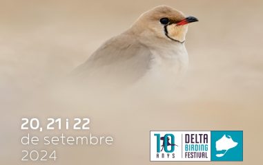 Deltabirdingfestival
