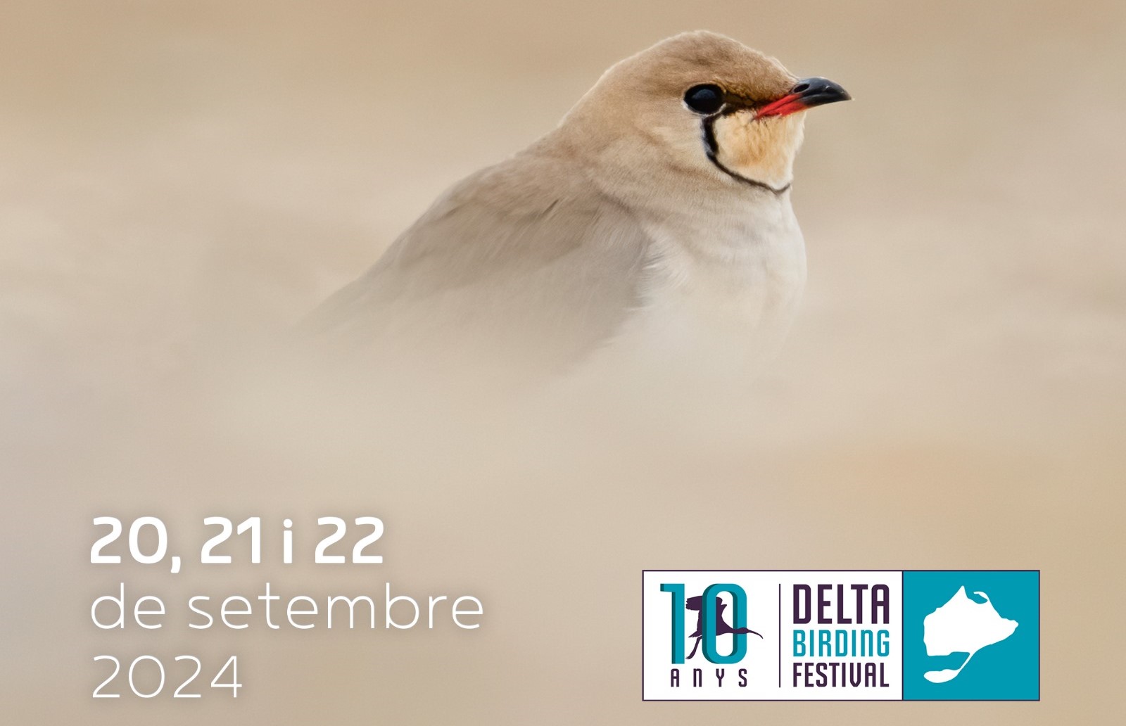 Deltabirdingfestival